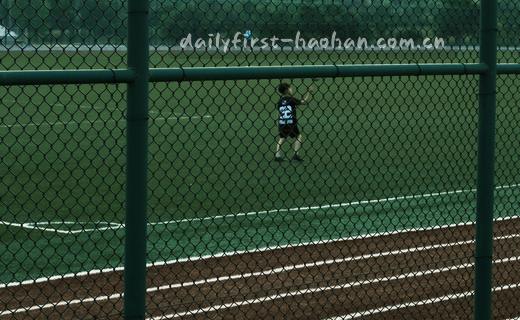 数据归档完成，图表与文件已更新。